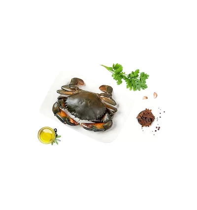 Crab - Medium benfarmm