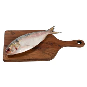 Hilsa benfarmm