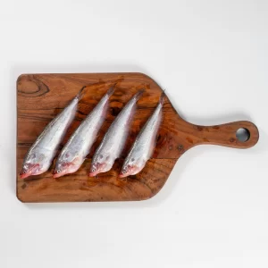 Indian Butter Catfish benfarmm