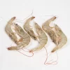 White Prawn benfarmm