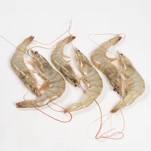 White Prawn benfarmm